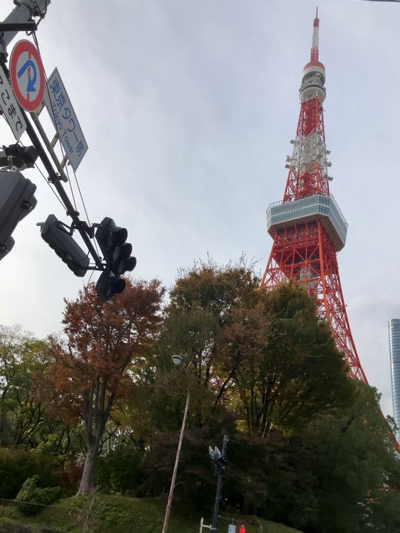 東京タワー TOKYO TOWER